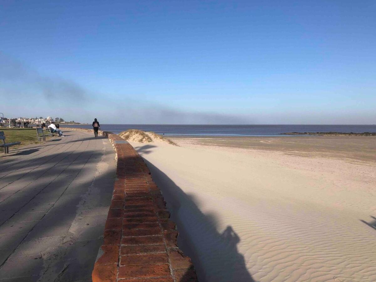 Frente Al Mar , Sobre Rambla Malvin *